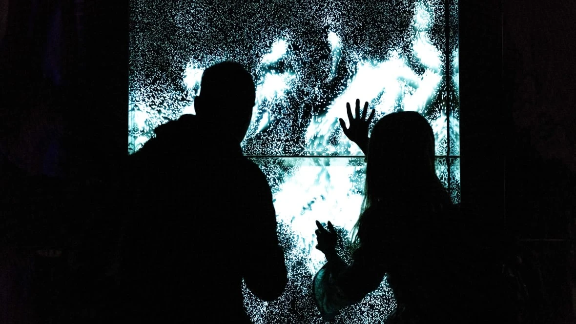 Windsor's first Night Light festival will transform public spaces