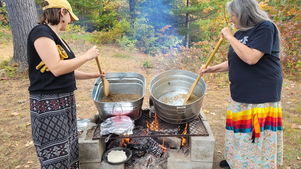 Wild Rice project aims to restore and highlight cultural importance