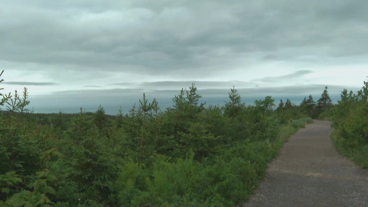 Cape Breton Skyline Trail now requires advanced booking