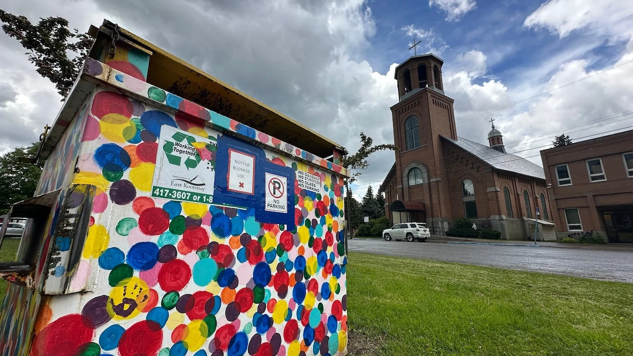 Fernie, B.C., community garbage bins under review as city cites wildlife and dumping concerns
