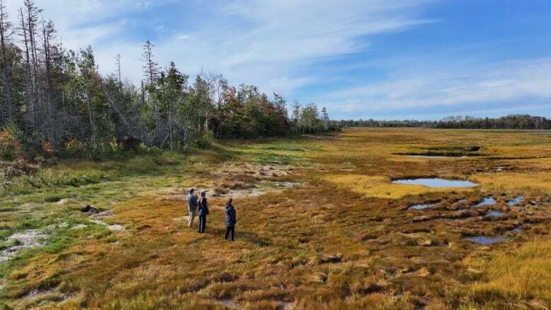 Island Nature Trust wants you... to volunteer to patrol its growing number of protected acres