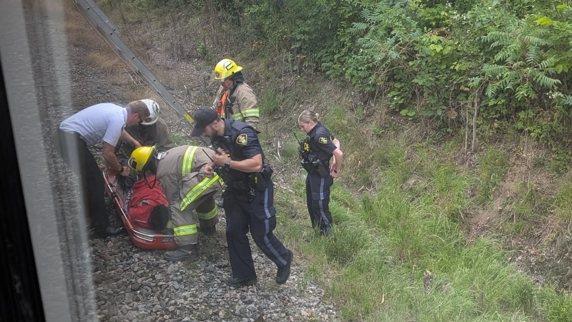 Man charged for 'surfing' atop moving train near Alexandria