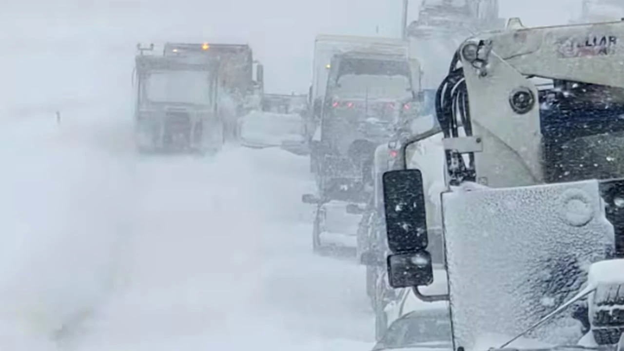 Snowstorm traps 300 drivers overnight on Alberta highway