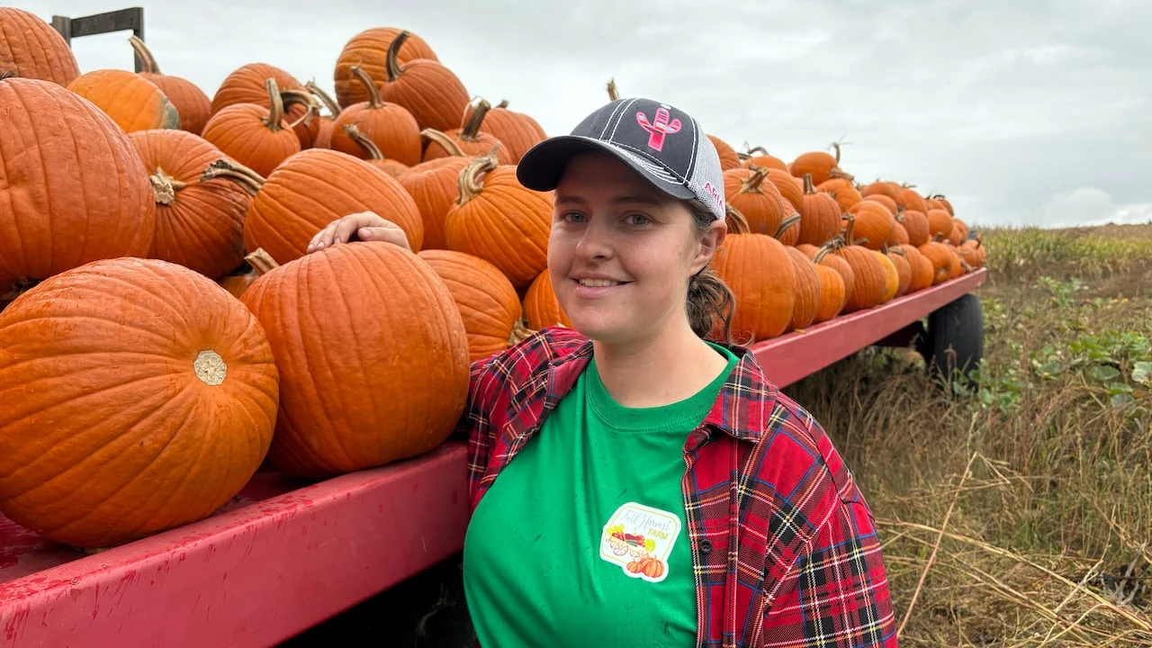 Waterloo region pumpkin farmers report strong harvest despite dry summer