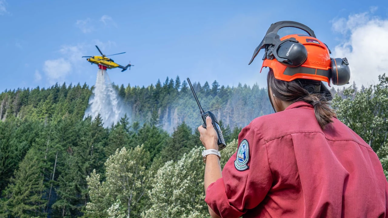Forecast heat, lightning and ongoing drought raise risk of 'significant wildfire event' in B.C.