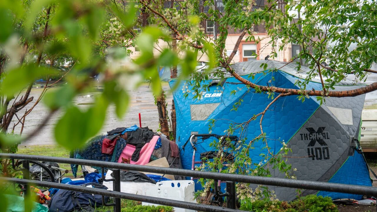 Thunder Bay, Ont., city council approves designated encampments, public spaces bylaw