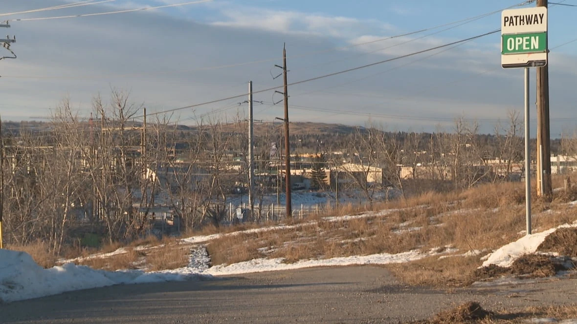 B.C. man charged with manslaughter in death of woman found injured on Calgary pathway