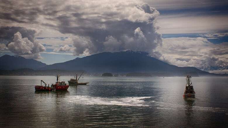 B.C. environmental groups lose bid to stop Alaskan fishery's sustainable certification