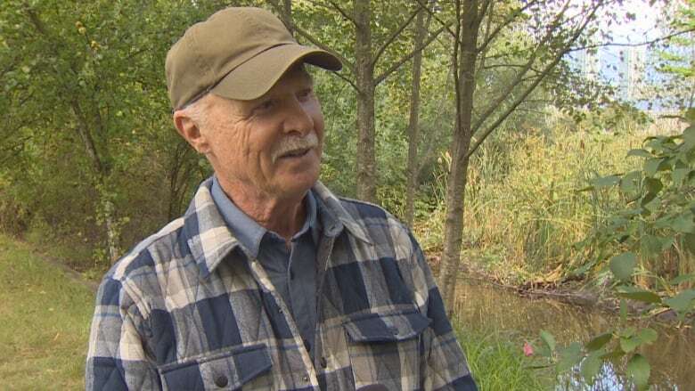 Ancient B.C. creek buried by construction in the 60s brought back to the surface