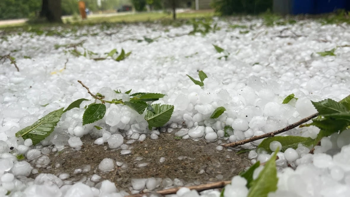 Hail the size of golf balls causes extensive damage in Lumsden area