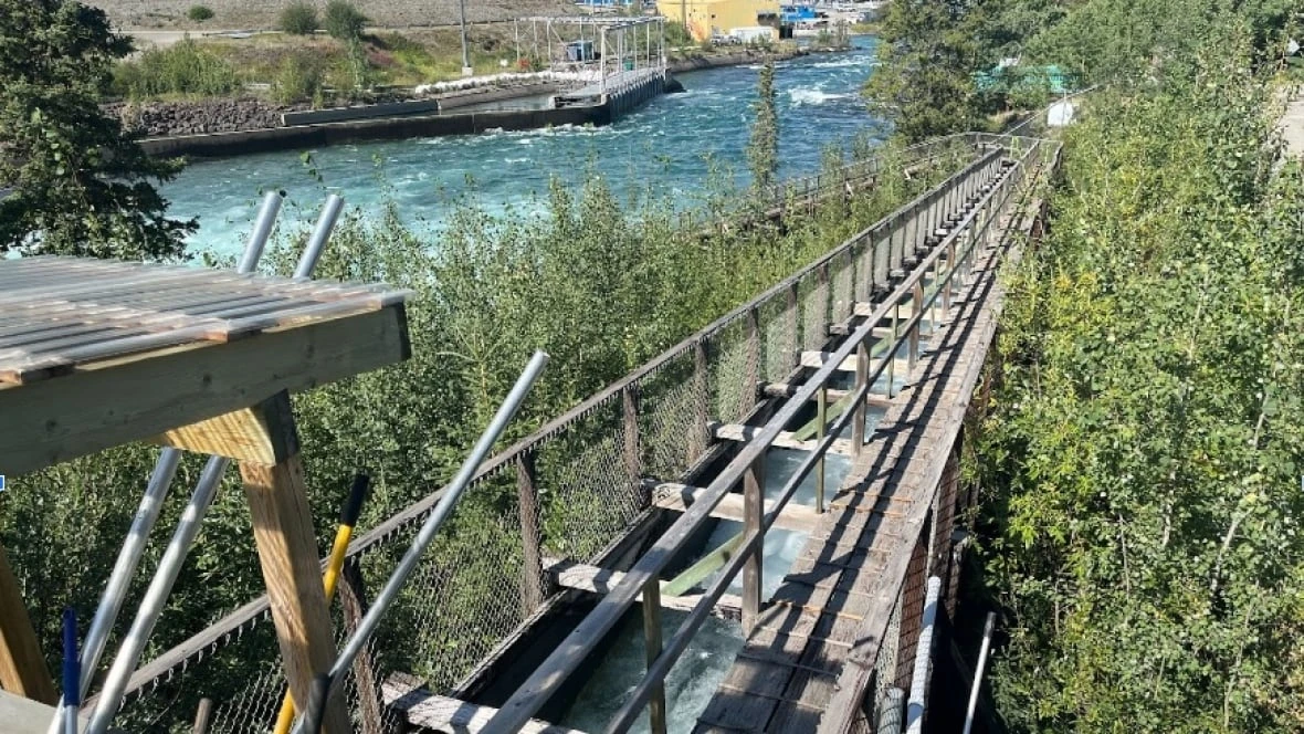 First Nation calls deteriorating state of Whitehorse dam fish ladder 'extremely concerning'
