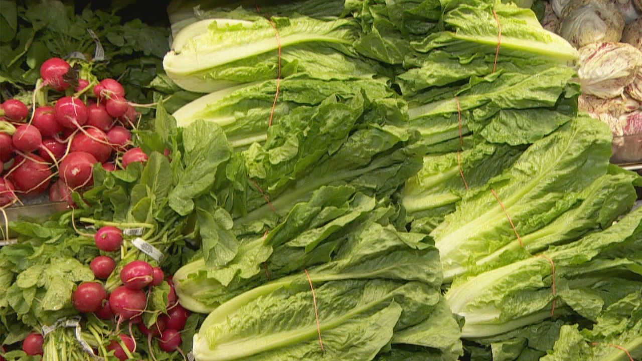 Lettuce suspected source of explosive diarrhea outbreak