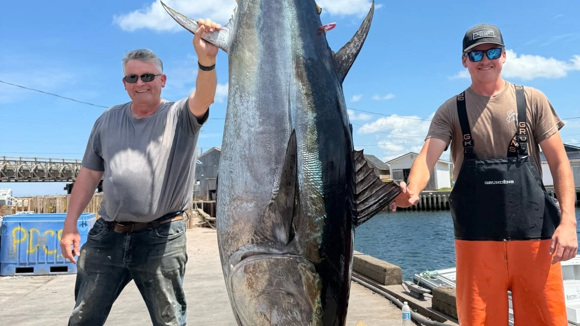 P.E.I. bluefin tuna in high demand as season opens early, says Island exporter