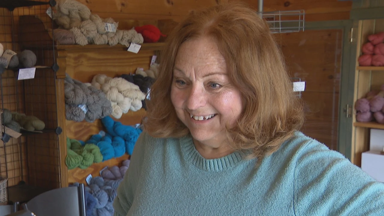 Wasted wool being turned into a green garden product, thanks to this P.E.I. business
