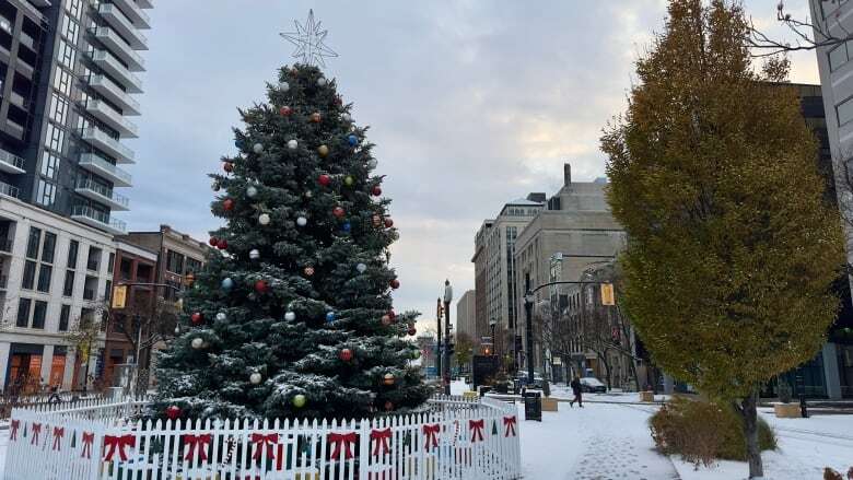 Things to do in Hamilton this December and all through the holidays