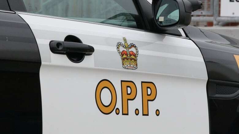 Infant dead after being found unresponsive in swimming pool in Harrow: OPP