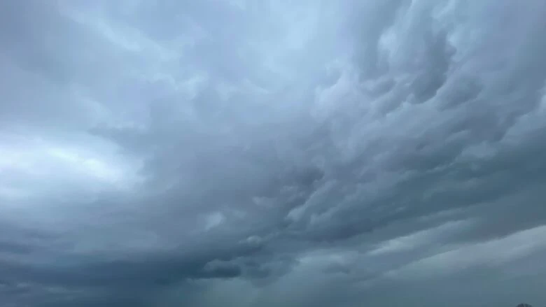 Environment Canada issues severe thunderstorm warning for Windsor, Essex County