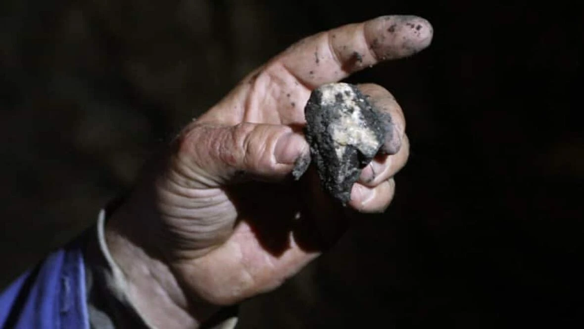 'Very disheartening,' says resident whose property could be explored for uranium