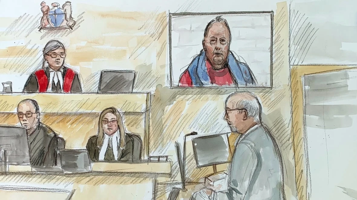 B.C. man who claims he stabbed 3 on 'God's will' isn't responsible, lawyer argues