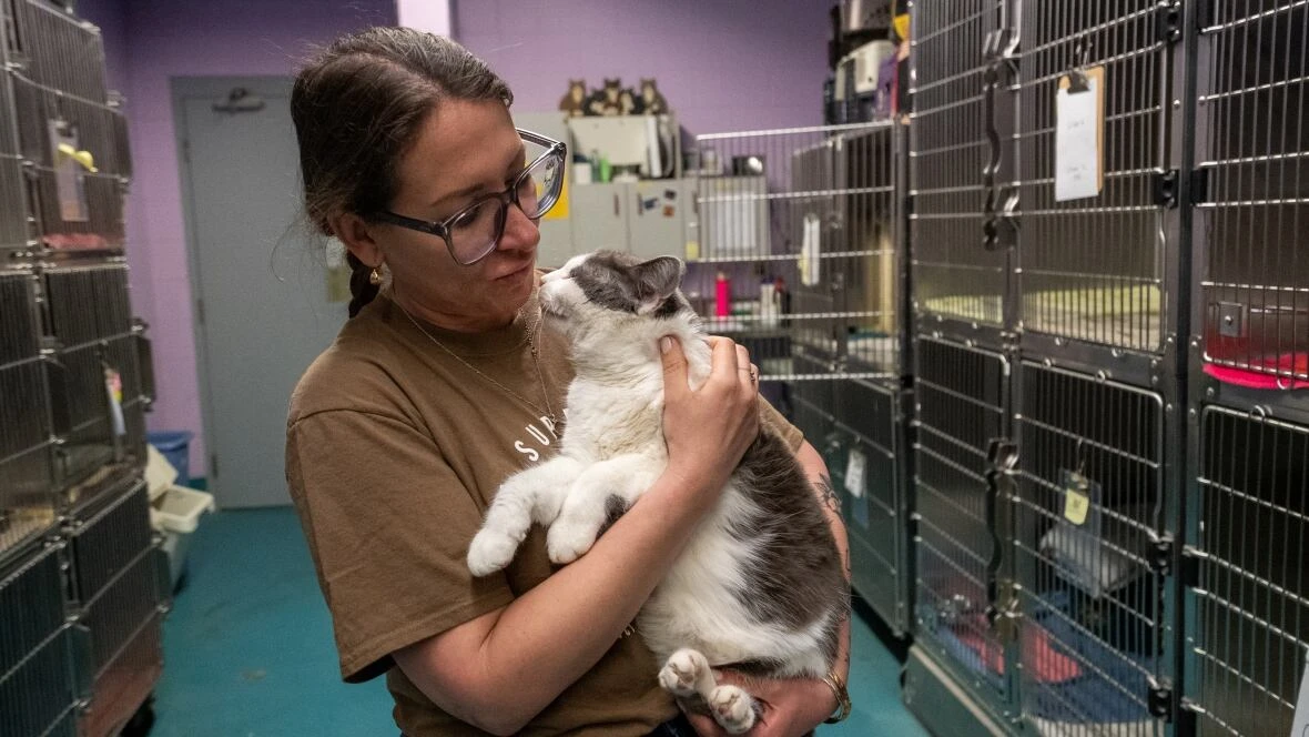 Thunder Bay humane society, Ontario SPCA merge to enhance support for animals and their owners
