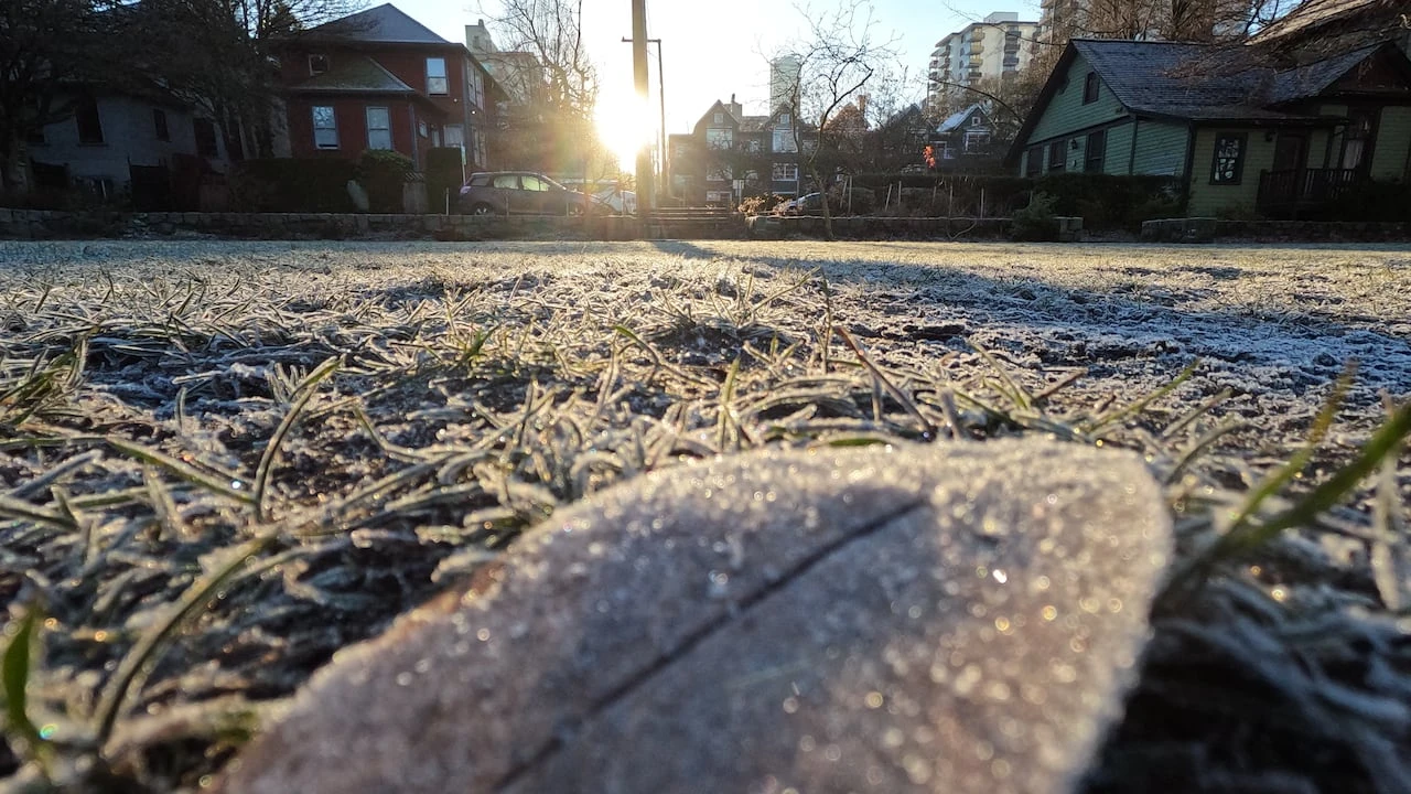 Swath of southern Ontario under Environment Canada frost advisory