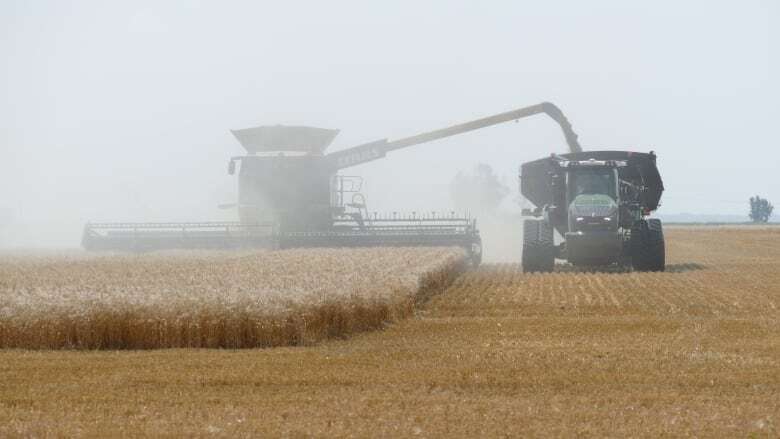 Fears for B.C. grain harvest amid rail disruption