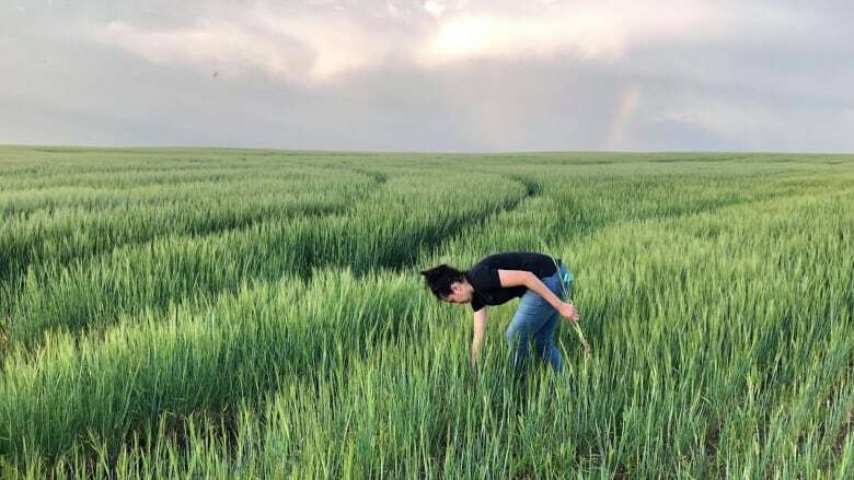 How Canadian researchers are trying to win the battle against a stubborn wheat disease