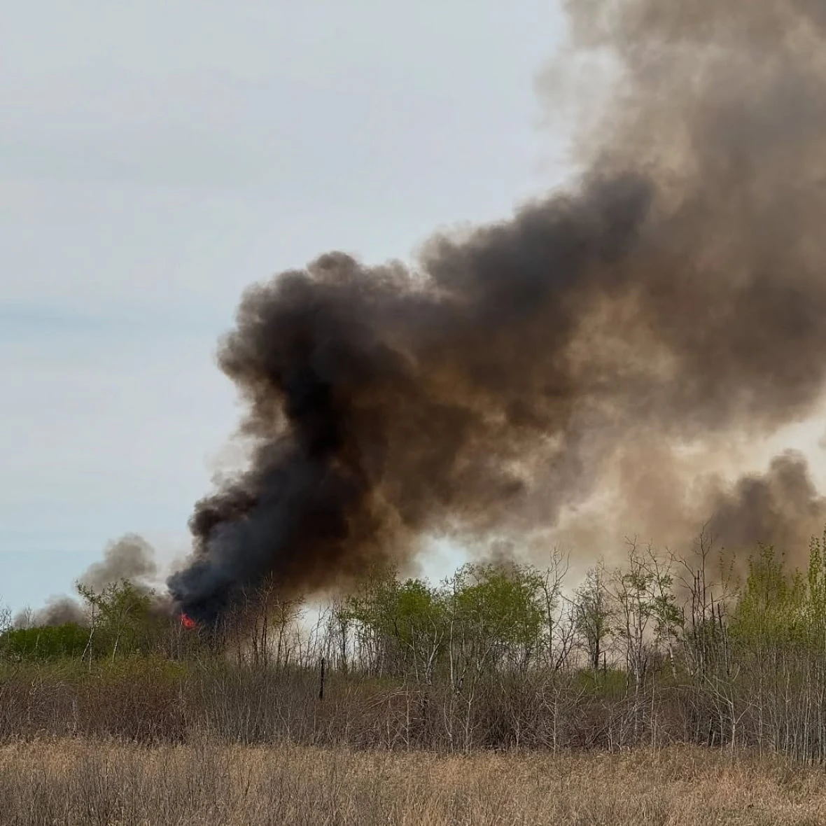 Firefighter saves 3 sleeping brothers as brush fire destroys home on Sask. First Nation