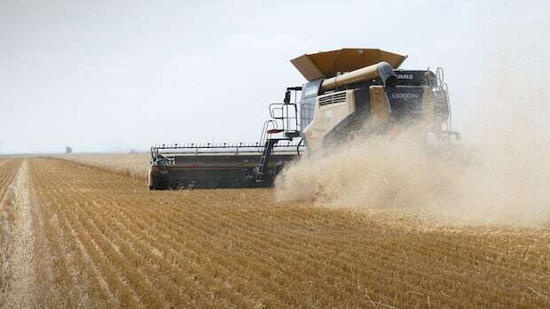 Canadian farmers expect major blow from Trump’s tariffs