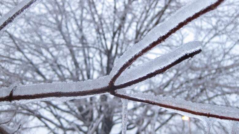 Hamilton public schools, other centres closed Thursday due to 'inclement weather'