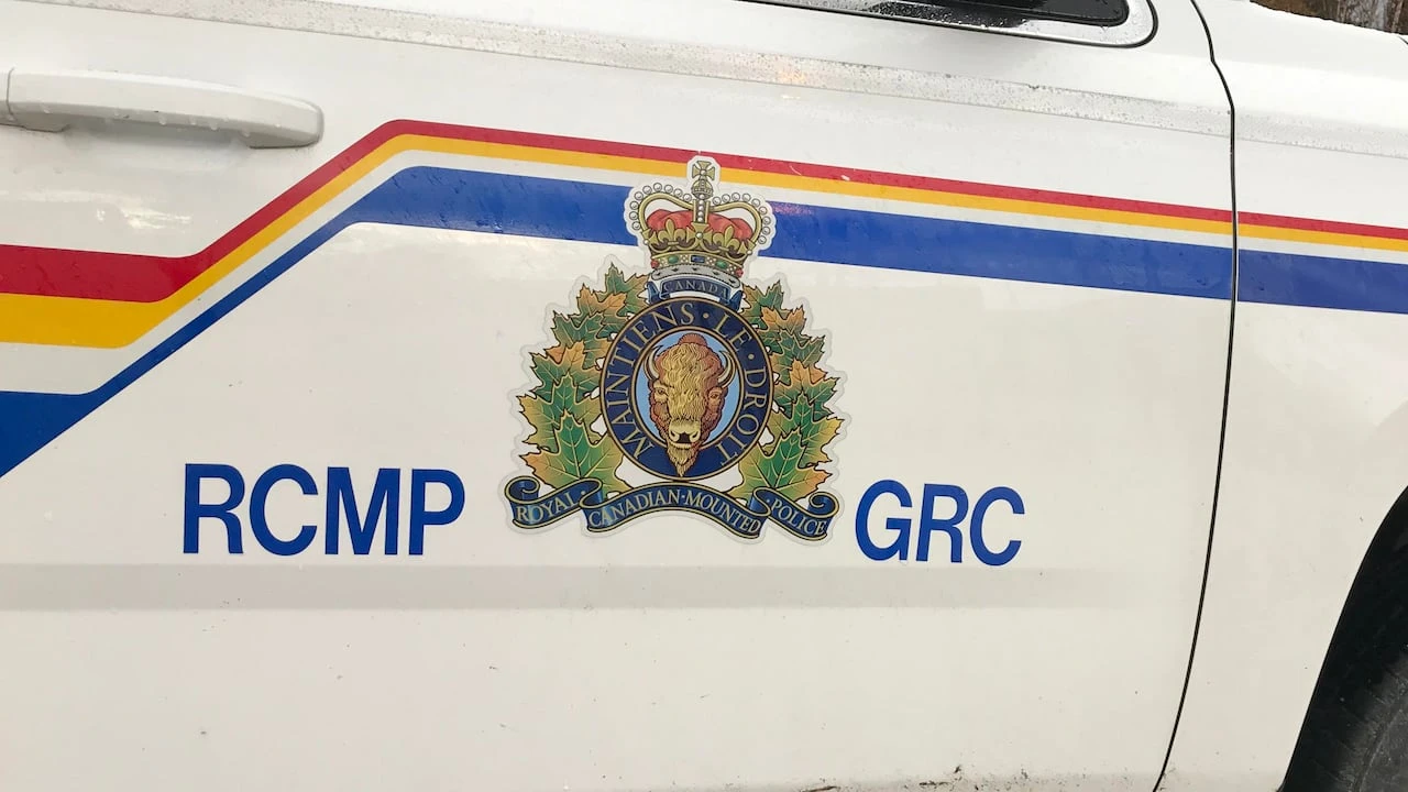 34-year-old woman dies in highway moose collision near Gander