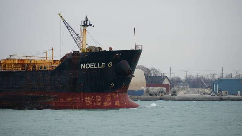 Ships taking extra caution after seiche exposes parts of the Detroit River's bank