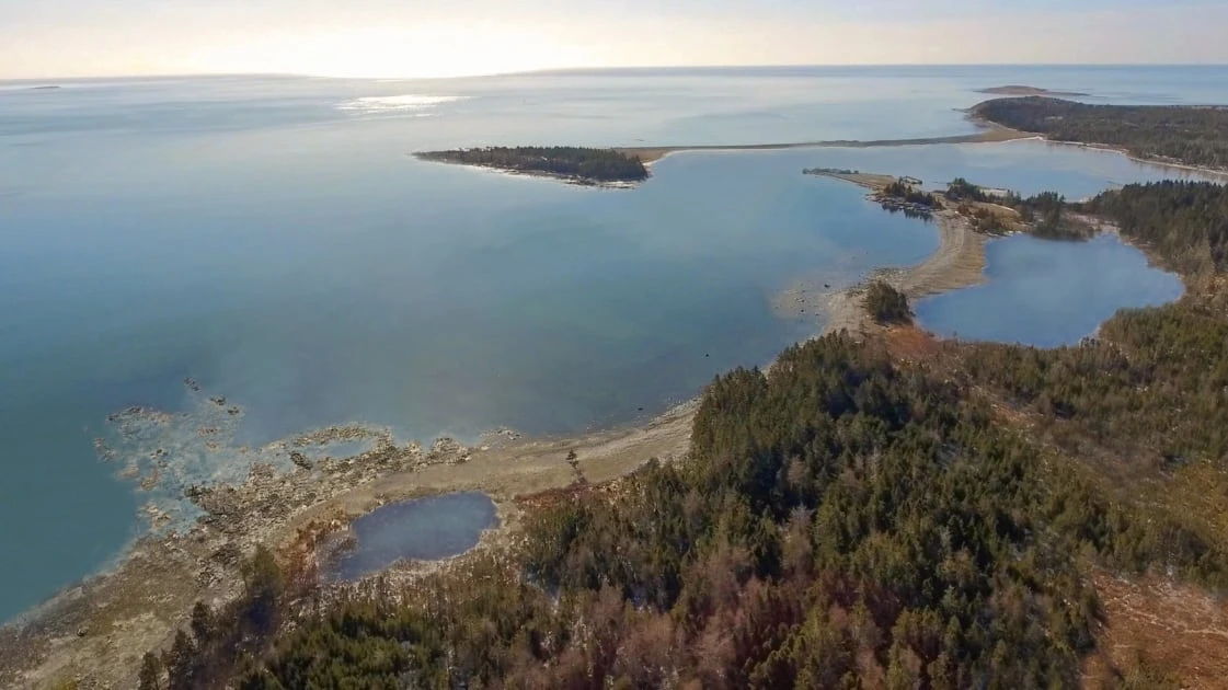 Nova Scotia grants Crown land lease for would-be whale sanctuary