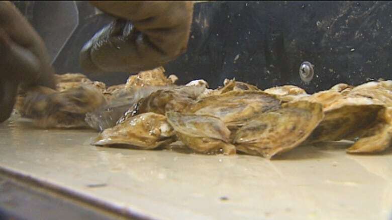 Oyster industry reps at Summerside conference seek solutions to MSX outbreak