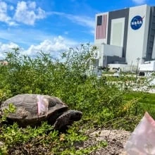 NASA faces cuts to rocket program and lunar space station in Trump's 2026 budget