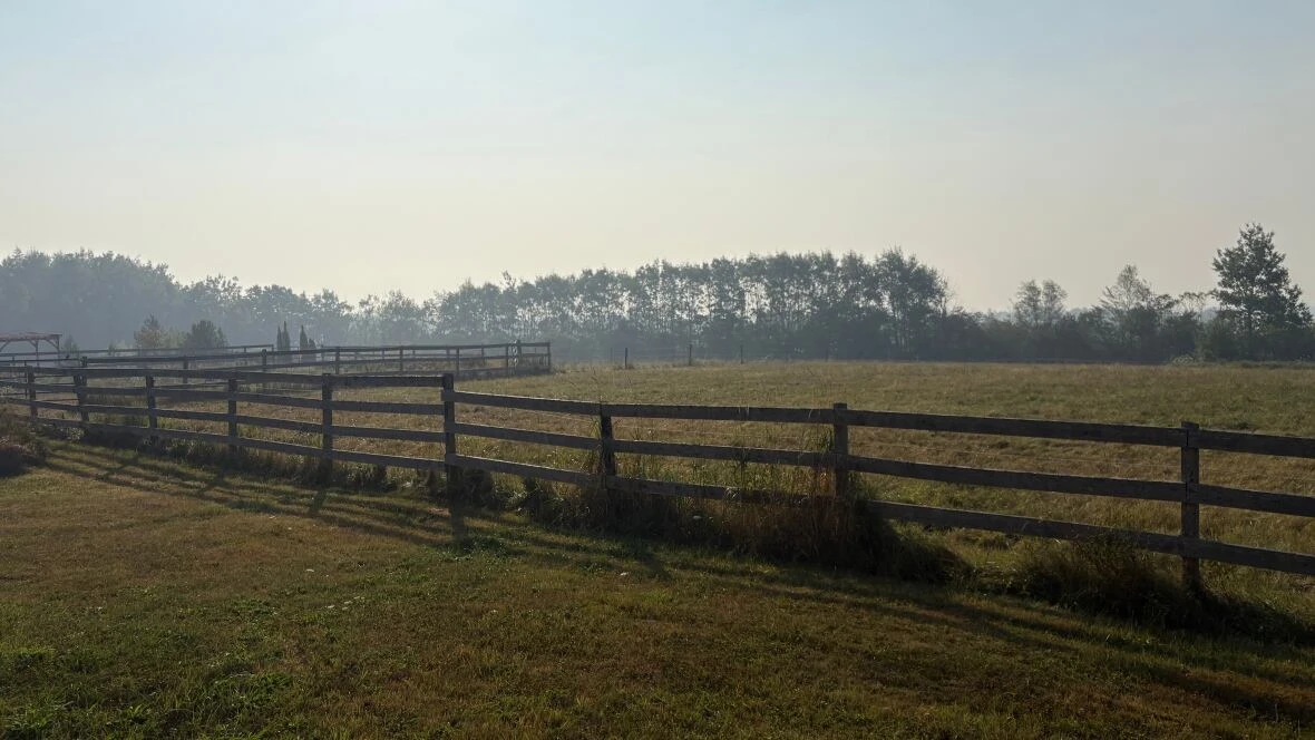 'More evacuations possible' as Long Lake wildfire grows to more than 1,100 hectares