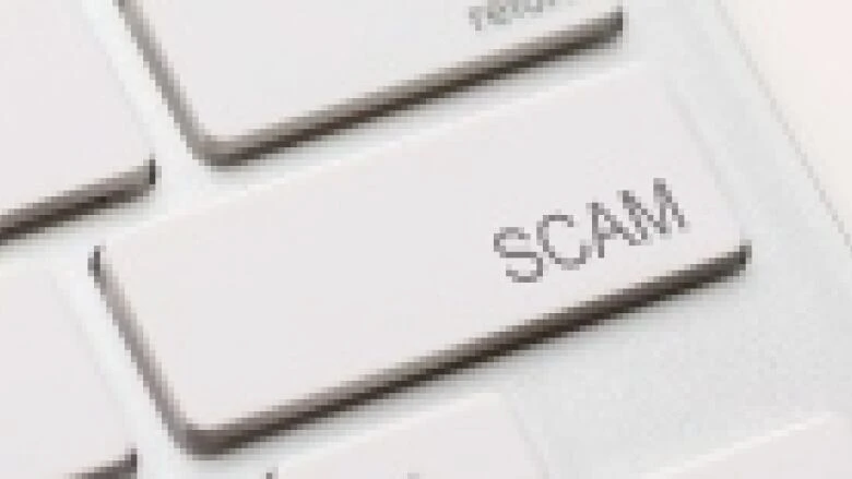 Scams becoming more sophisticated, harder to detect, industry pros say
