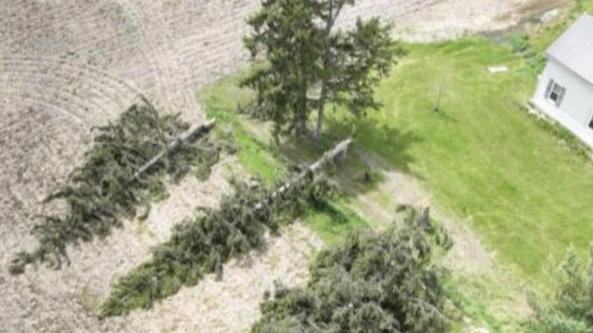 2nd tornado touched down in London, Ont., during last week's storm: NTP