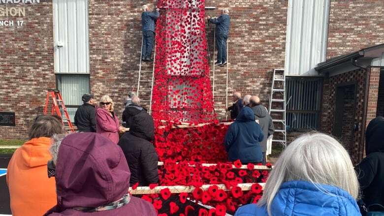 Waterfall of poppies at Wellington legion took community effort to complete