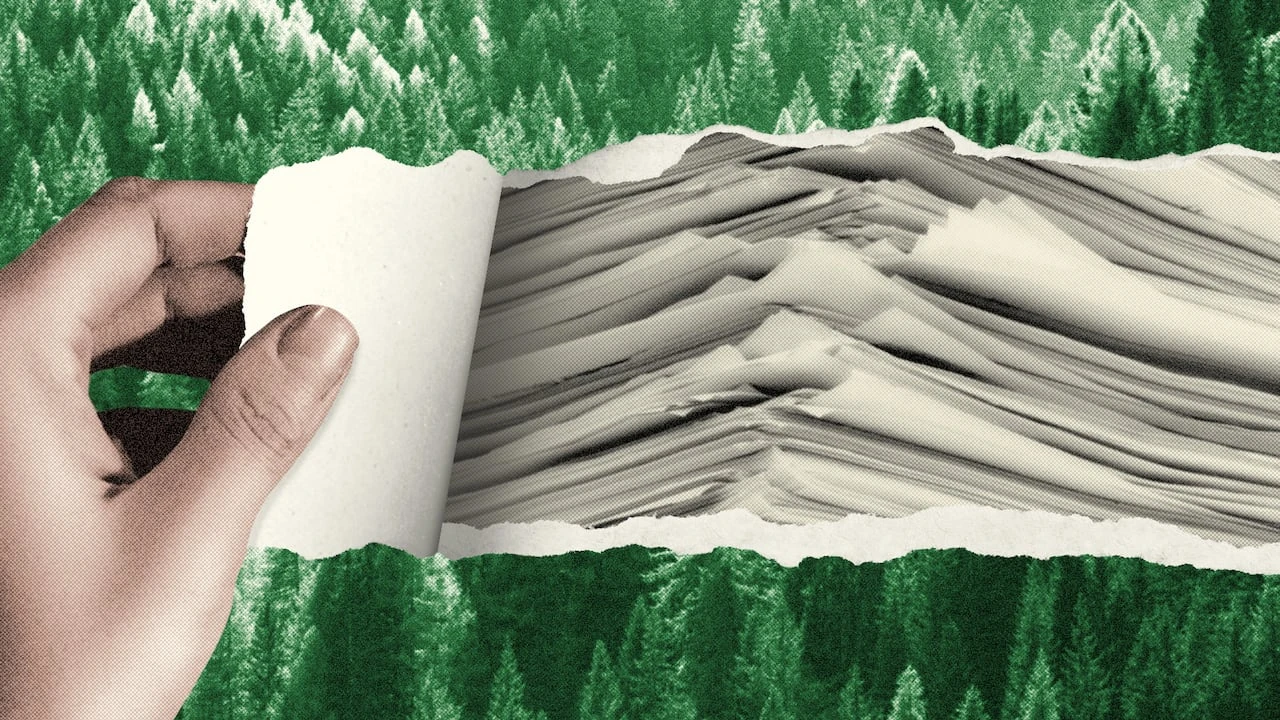 I ran up a massive carbon debt as a teacher. Now I'm planting to make amends