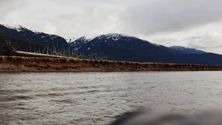 Alaskan tribes take B.C. to court over northwest gold mine