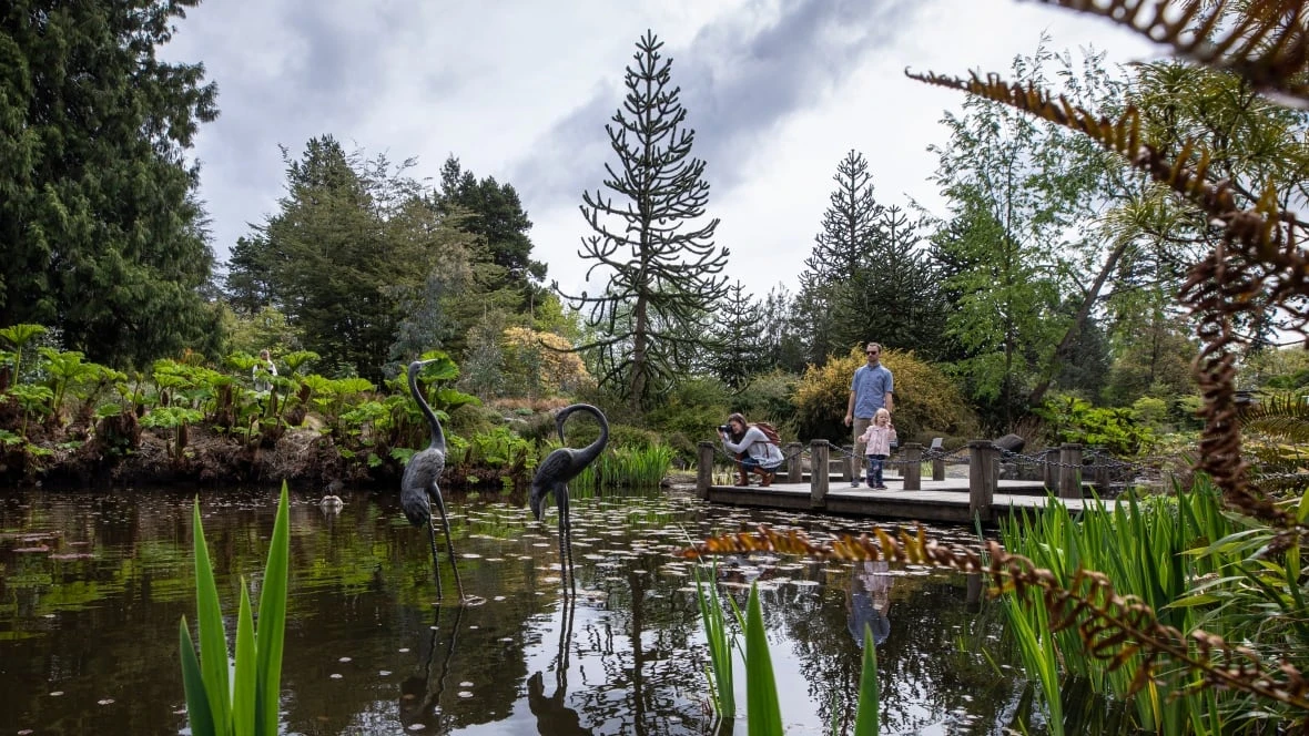 Vancouver's VanDusen Botanical Garden celebrates 50th anniversary