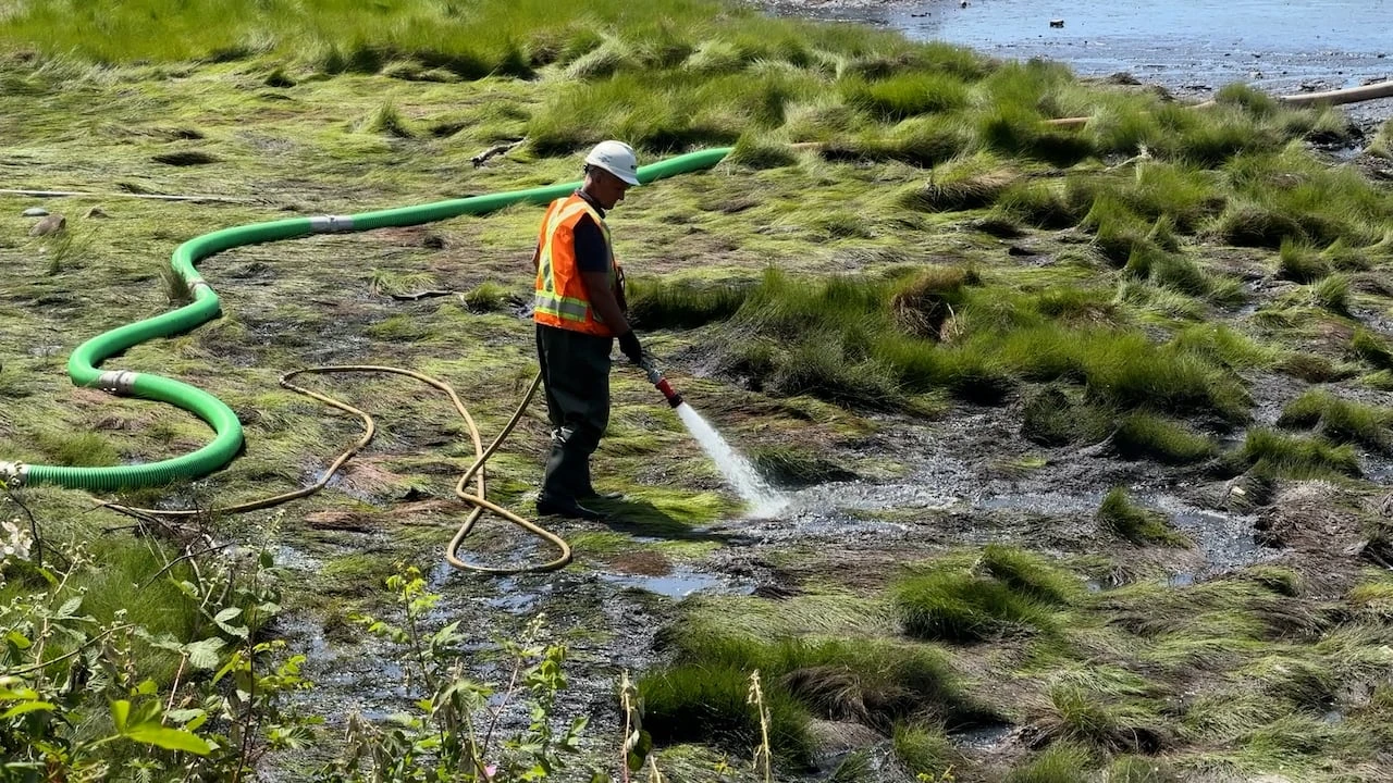 Comox residents call for independent inquiry into major sewer spill in May