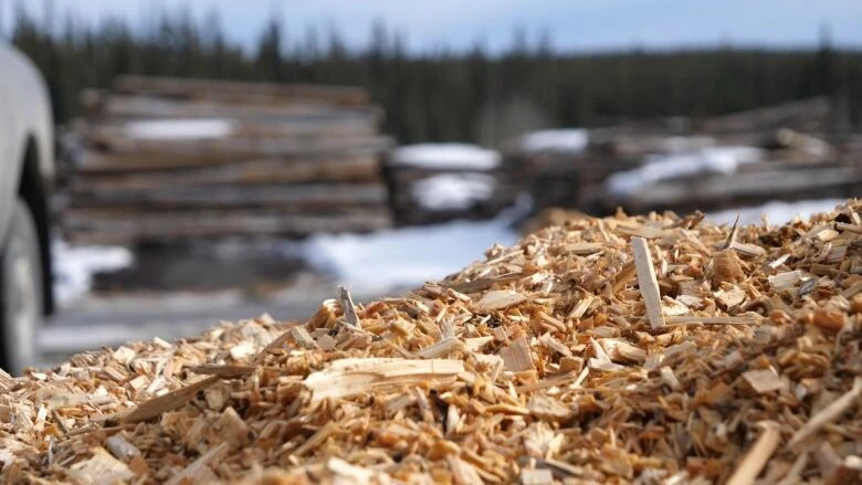 Province tells Nova Scotia Power to use more biomass to generate electricity