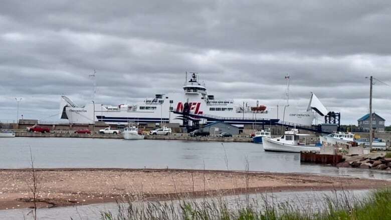 Northumberland Ferries Limited faces audit after troubled season, says transport minister