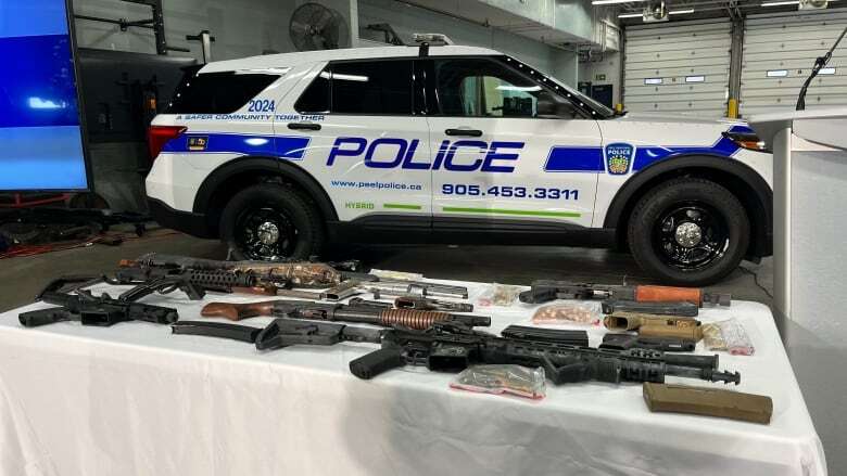 Peel police arrest mother and sons, seize 11 firearms in drug trafficking investigation