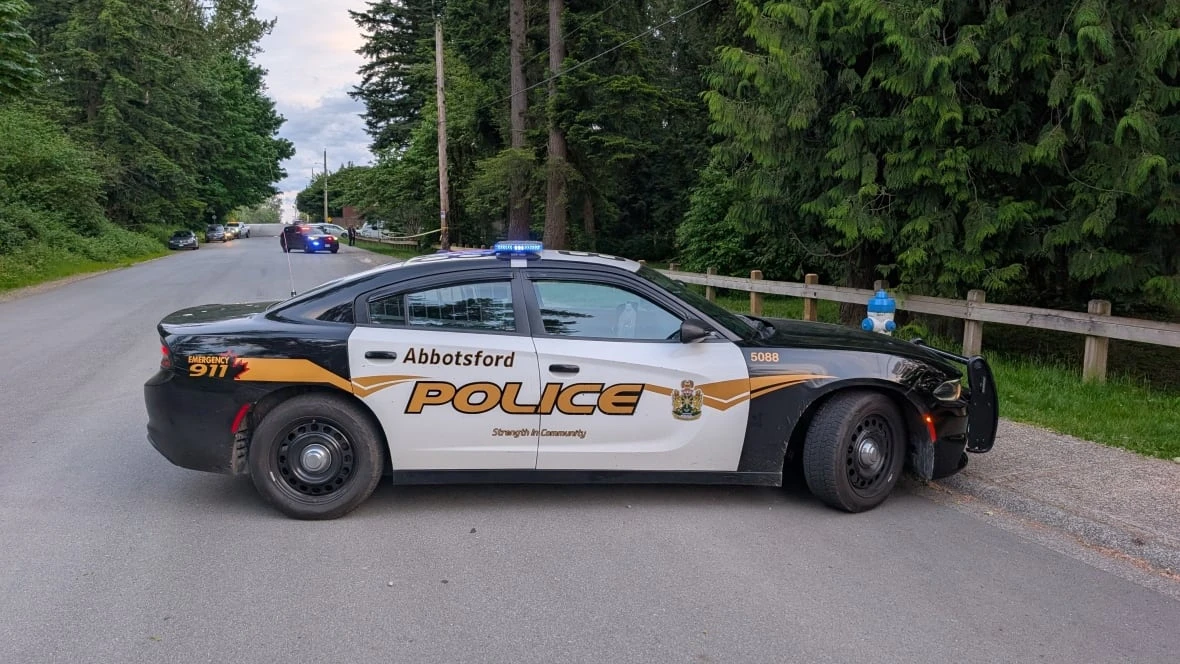 Teen dies after reported stabbing in Abbotsford, B.C., park, police say
