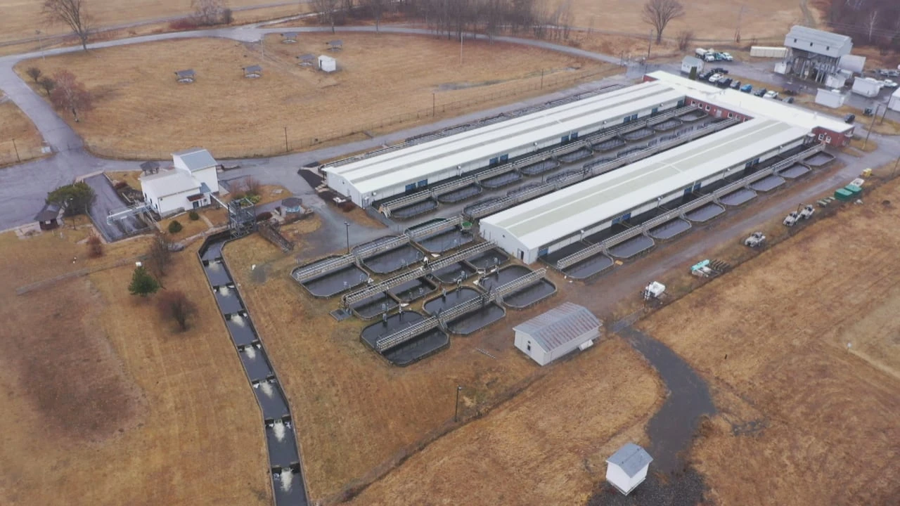First Nations continue call to save Mactaquac salmon facility
