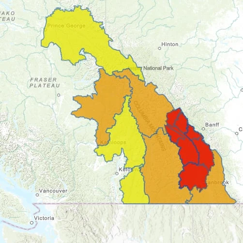 Flood warnings, evacuation alerts due to snowmelt in southeastern B.C.