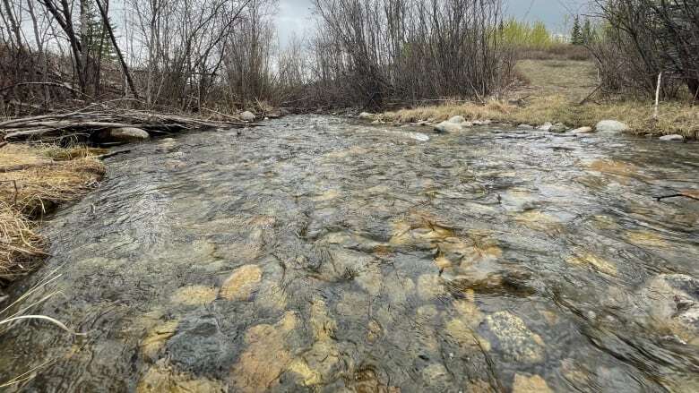 Yukon, federal governments reject proposed placer mine on creek used for drinking water